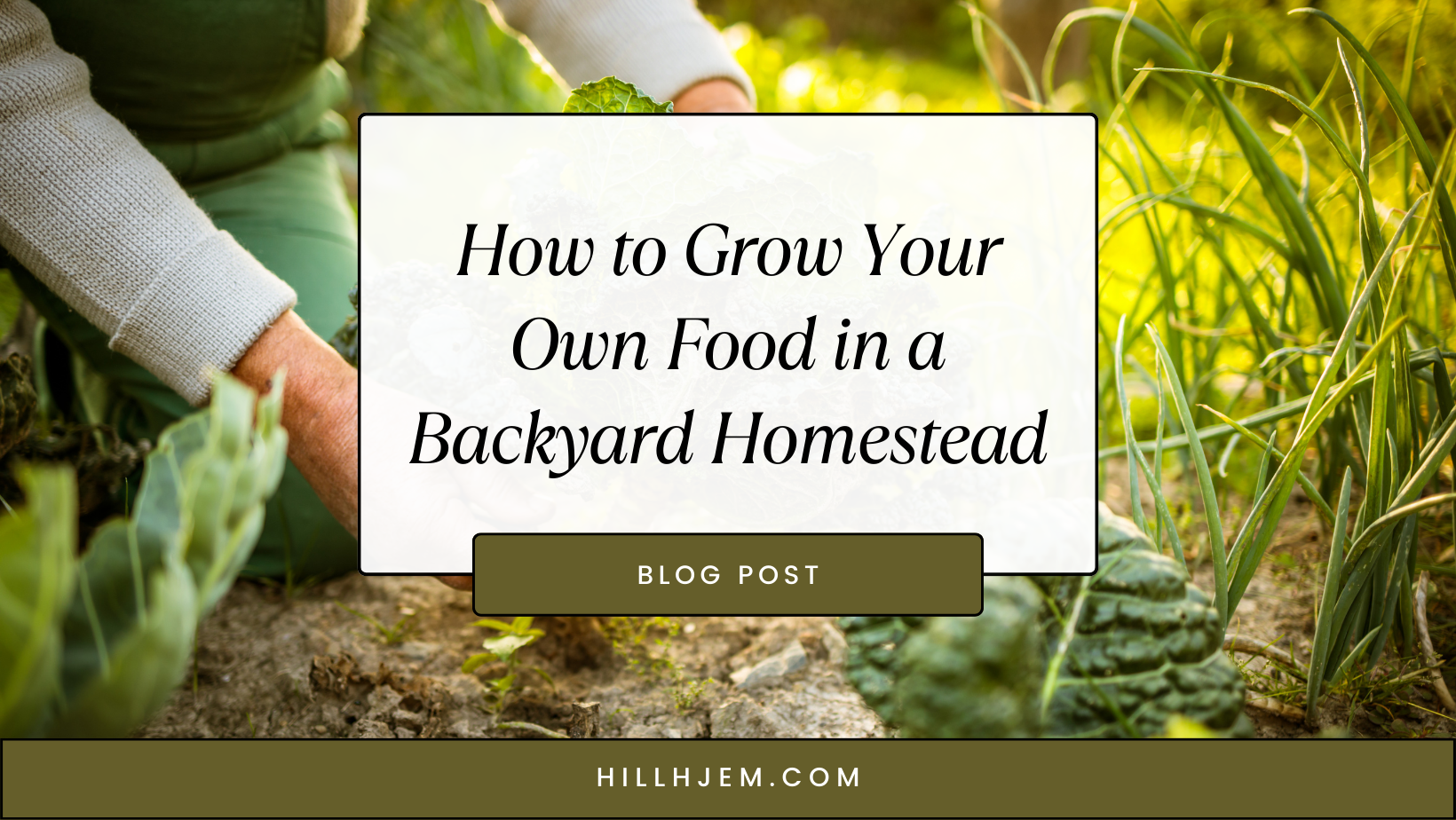 How to Grow Your Own Food in a Backyard Homestead